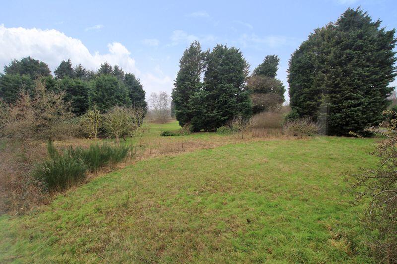 Grounds