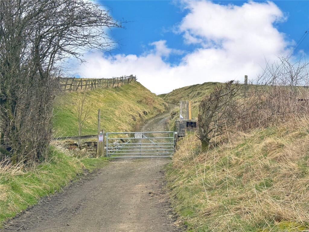 The Lane
