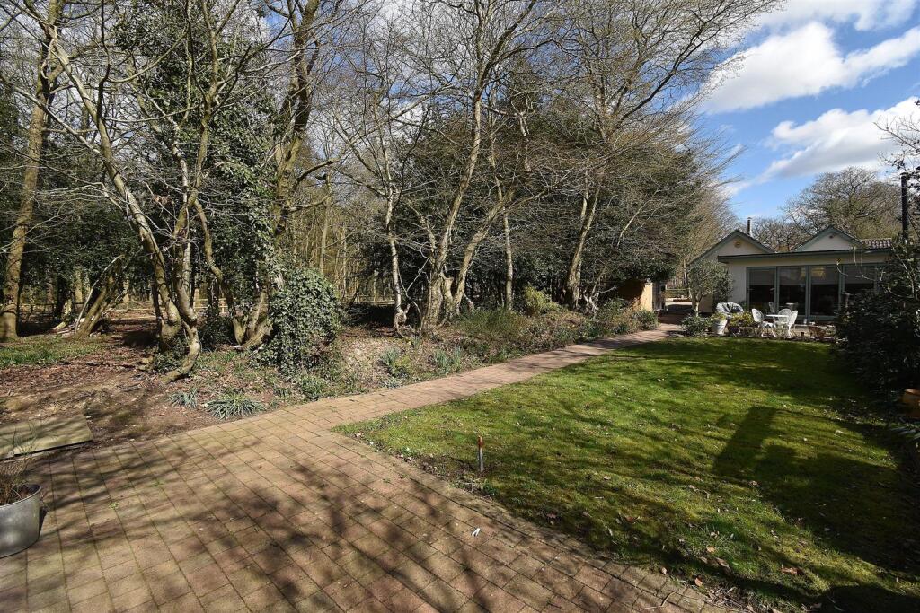 Rear Of Garden.JPG
