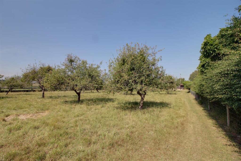 img_4798 - copy-img_4800 - copy.jpg