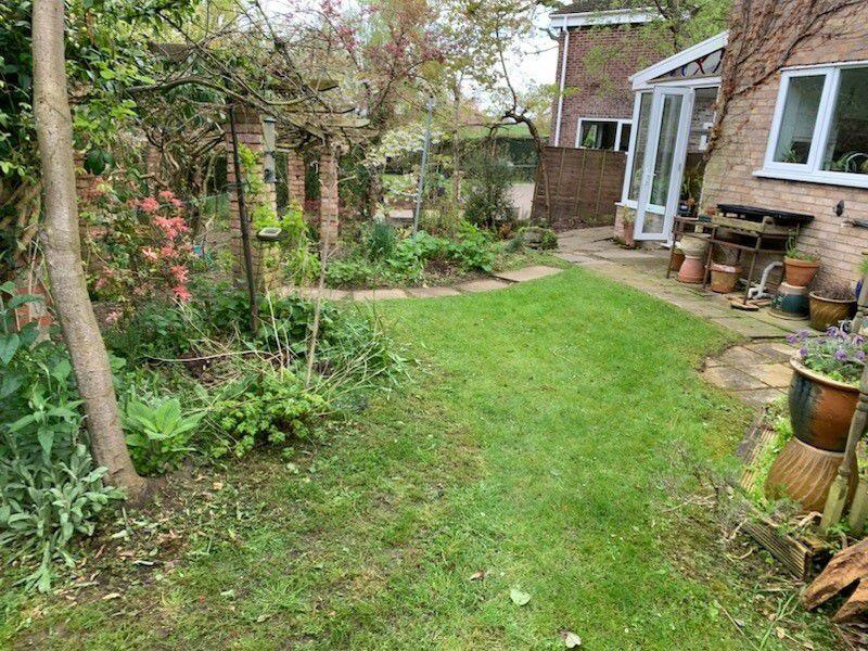 Photo 31
