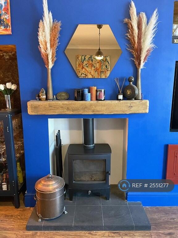Wood Burner 
