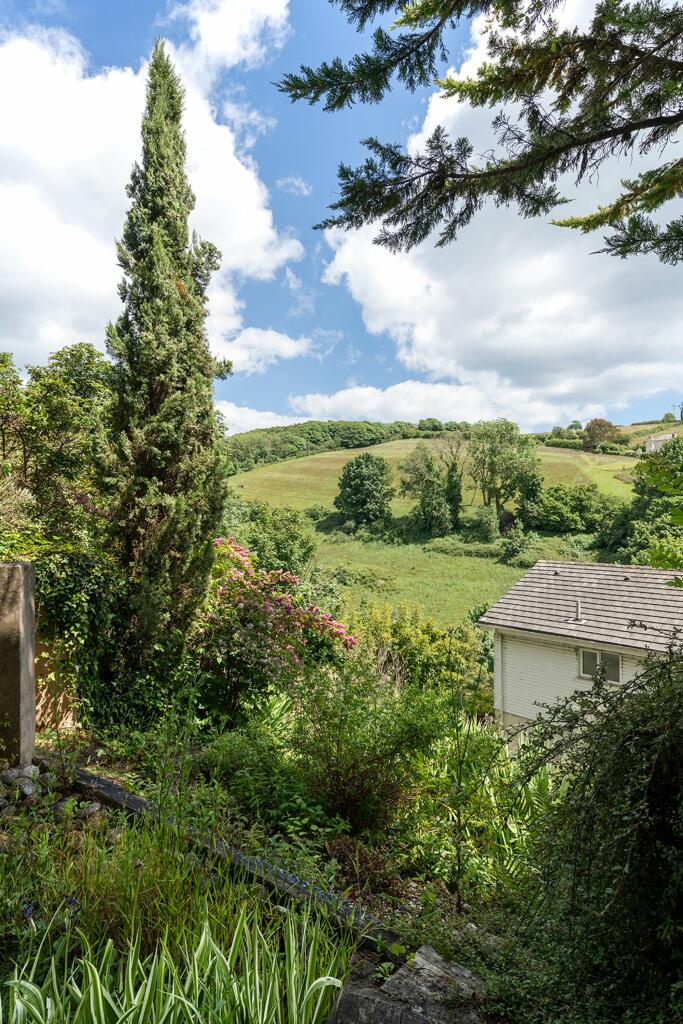 View From Garden_Brambles, Weeke Hill, Dartmouth