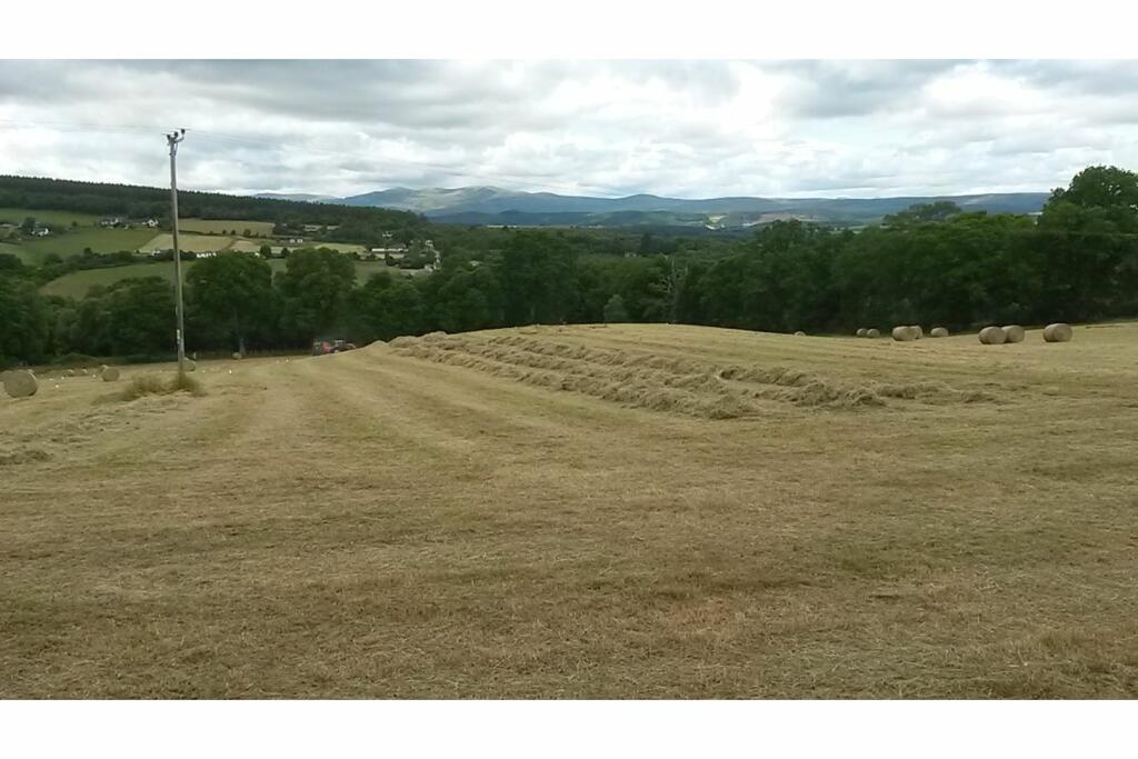 Land