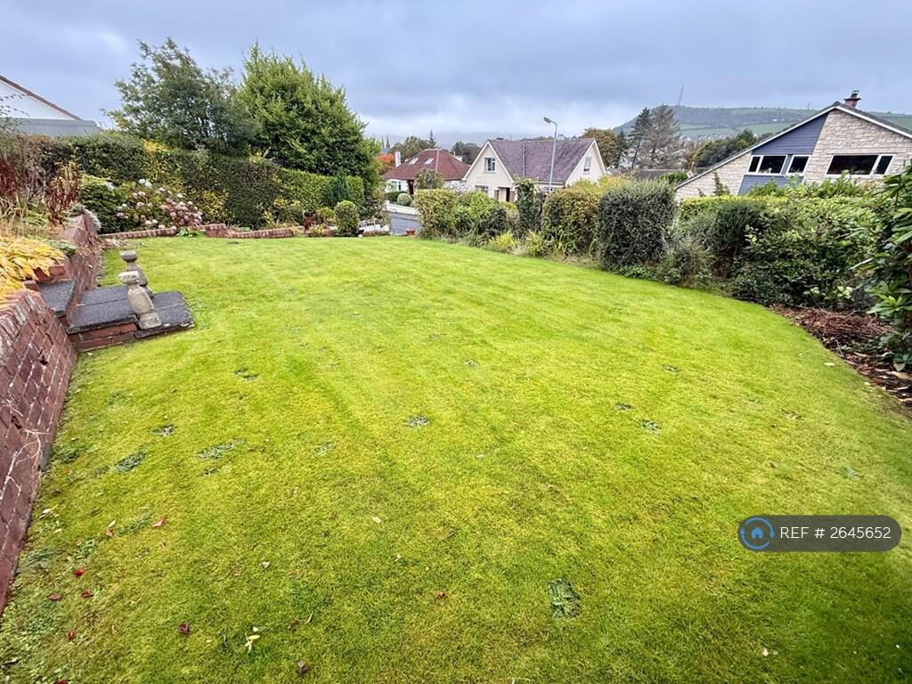 Back Garden