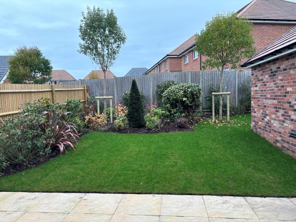 garden