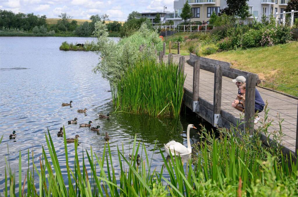 BSG lake 4.jpg