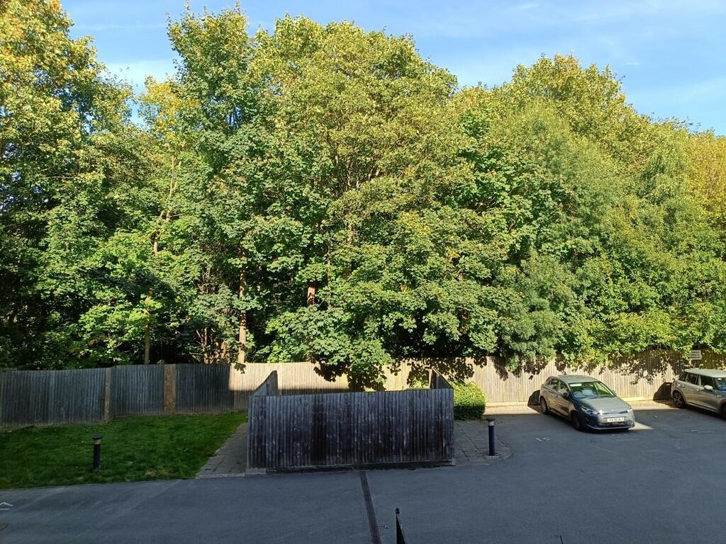 IMG-20240903-WA00...