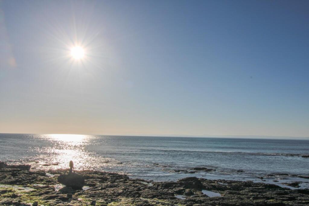 VIEWS OVER MORAY FIRTH-2.jpg