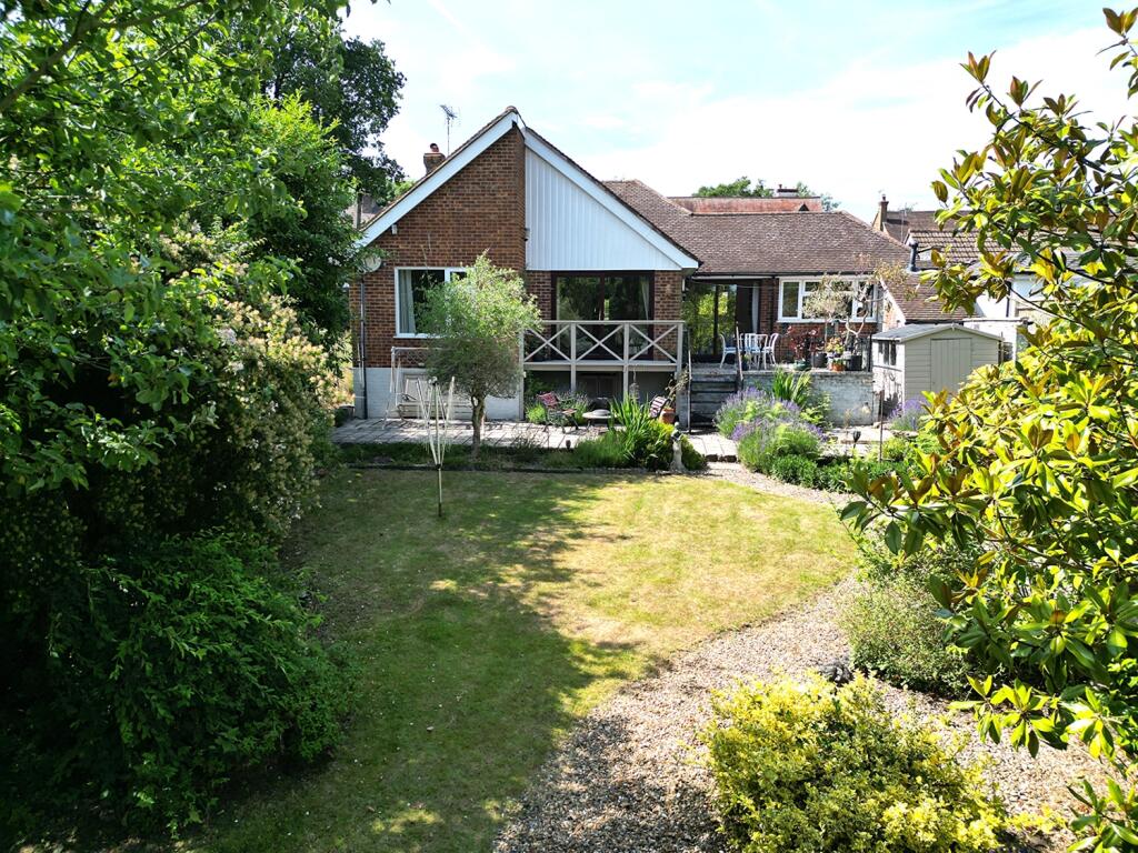 Rear Aspect