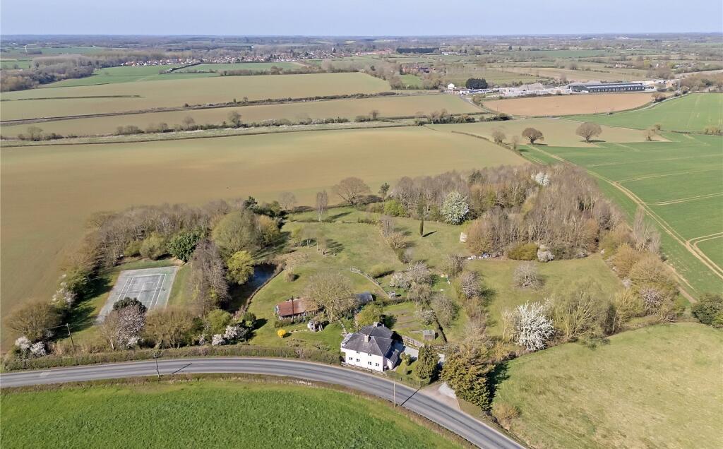 Meadow View