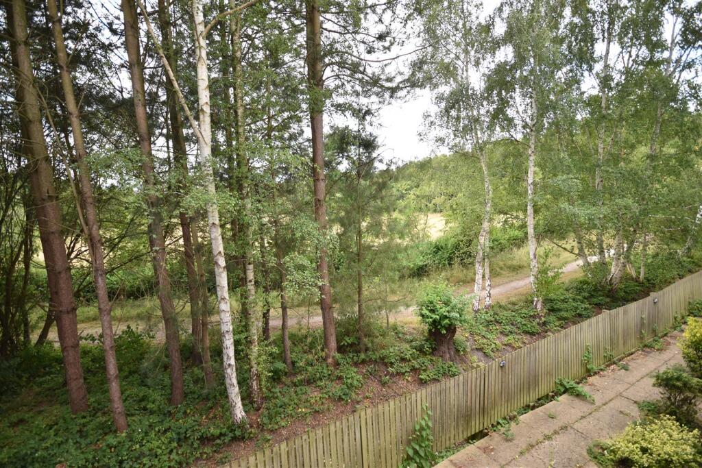 Front Aspect Views of Nature Reserve