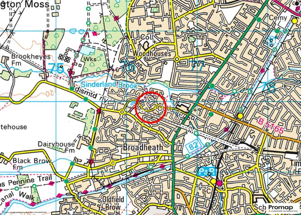 Town Plan