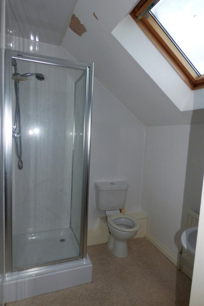 36689696_4TL0LUDY855