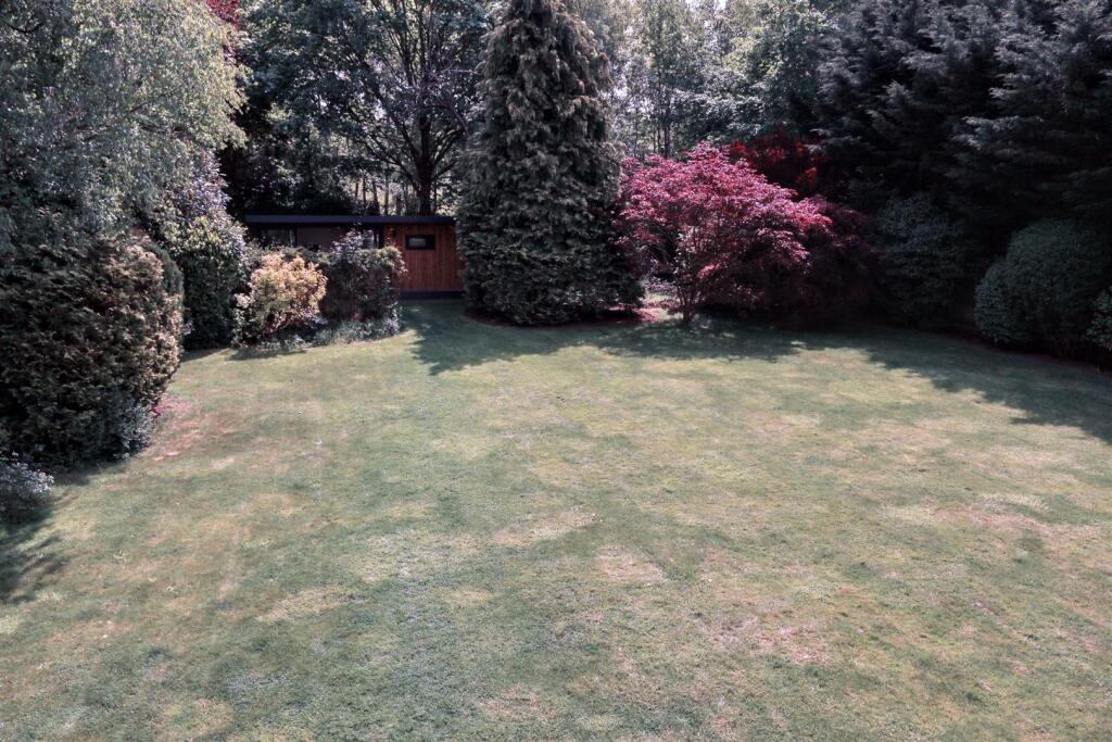 Rear Garden S.JPG