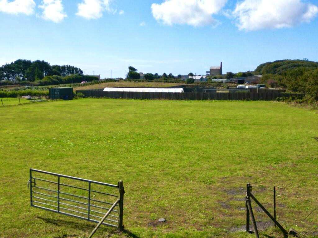 Paddock/Land