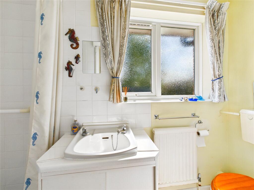 Picture 8