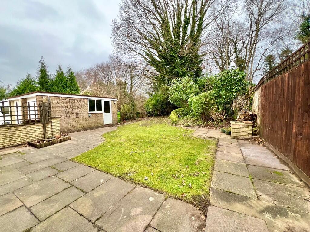 WhatsApp Image 20...