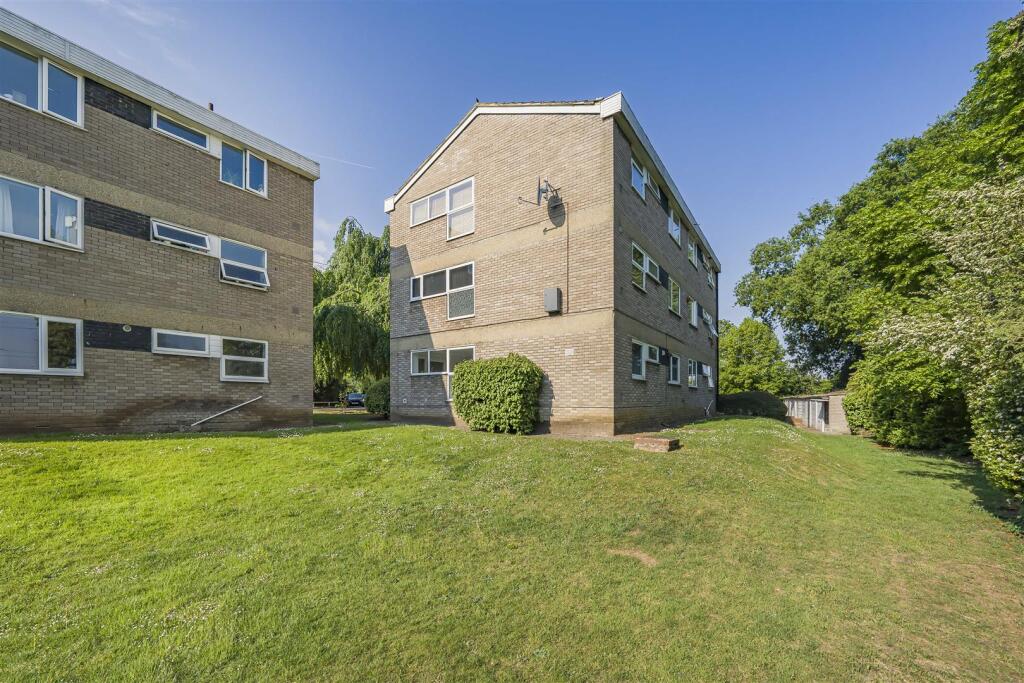 Photo May 13 2025, 8 41 58 AM.jpg