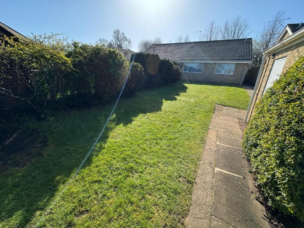 garden 2.jpg