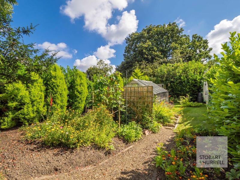 Vegetable Plot