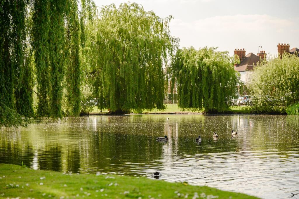 West End Common