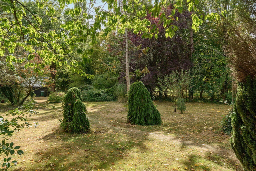 Bottom garden