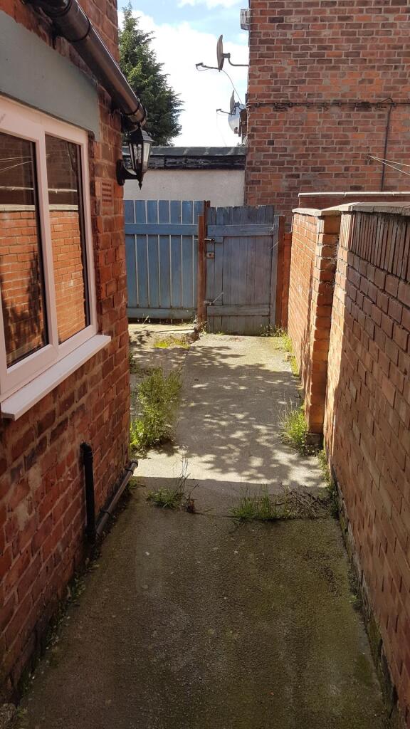 Back garden