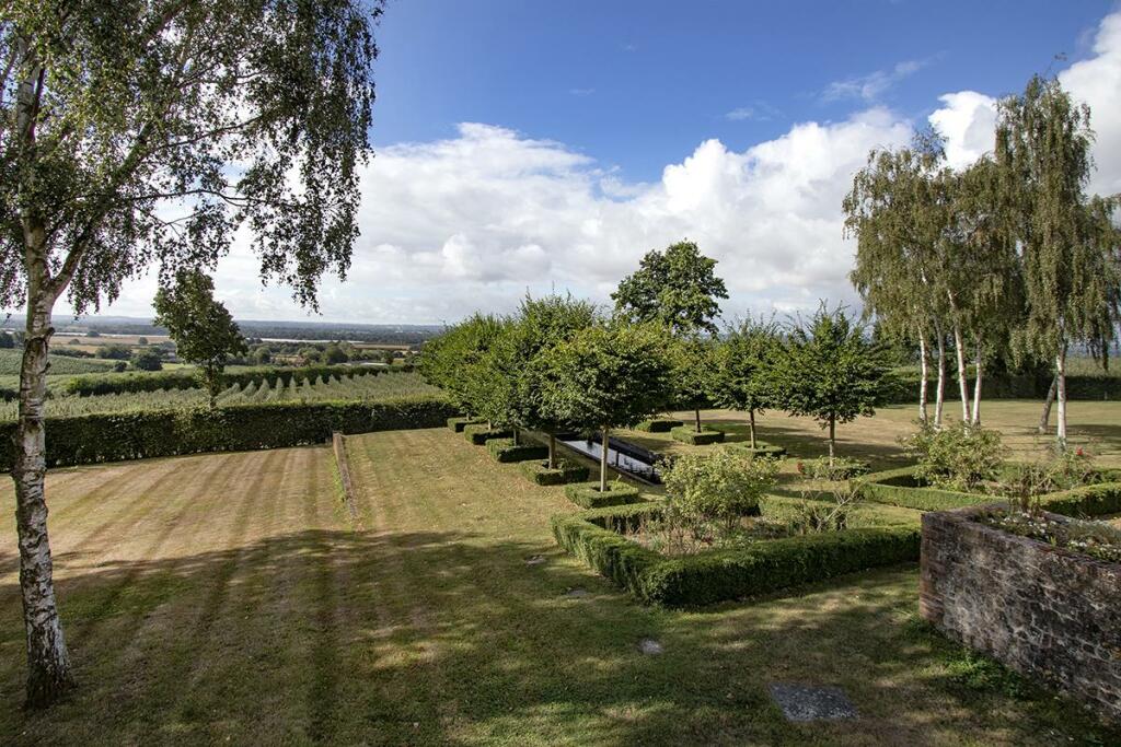 garden2.jpg