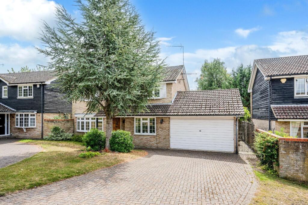 BLUE CEDARS (11).jpg