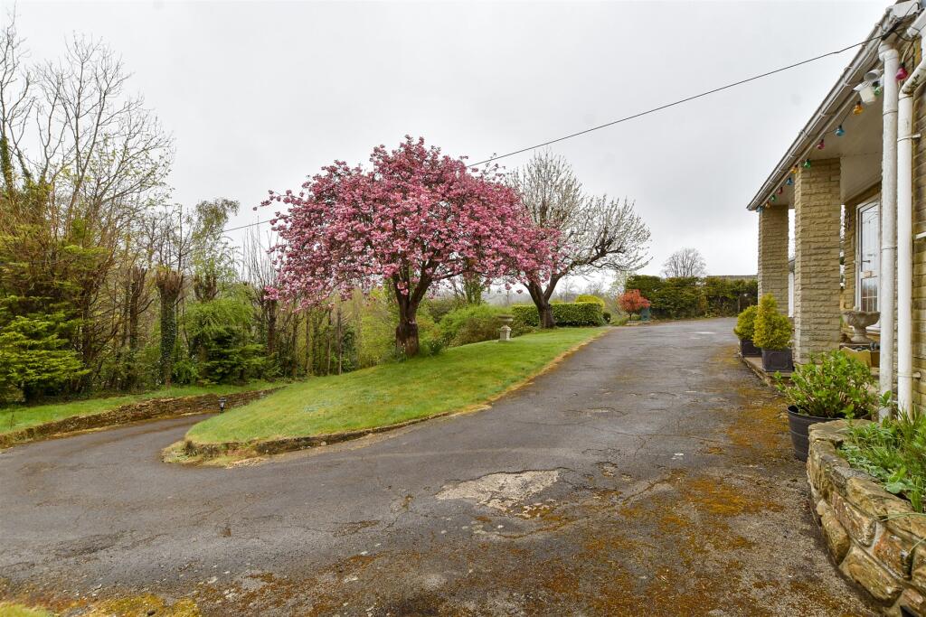 Driveway/Parking