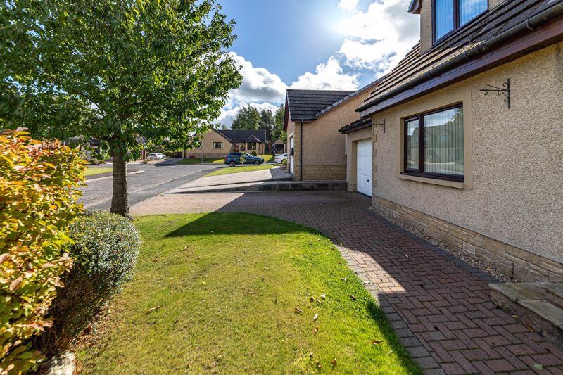 Front garden and drive