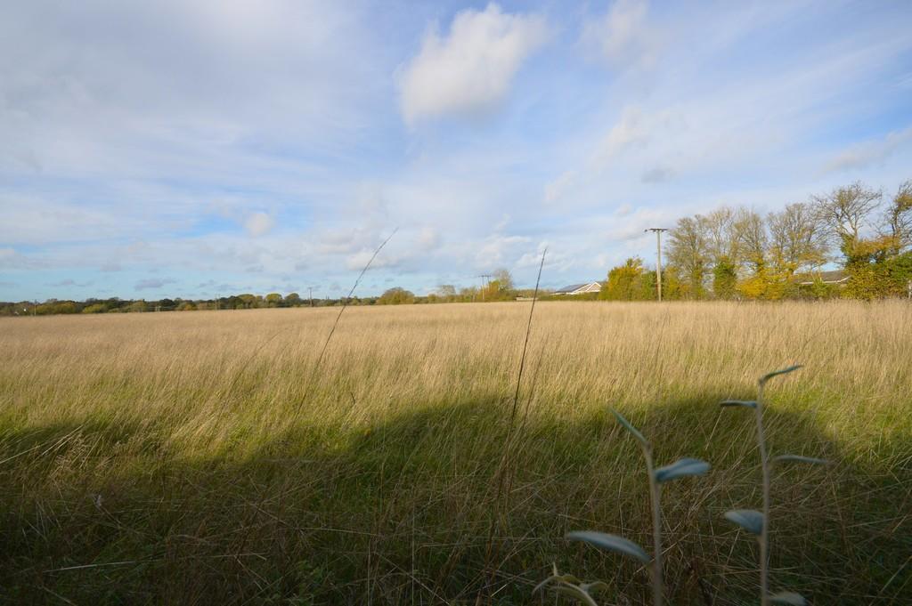 Field Views