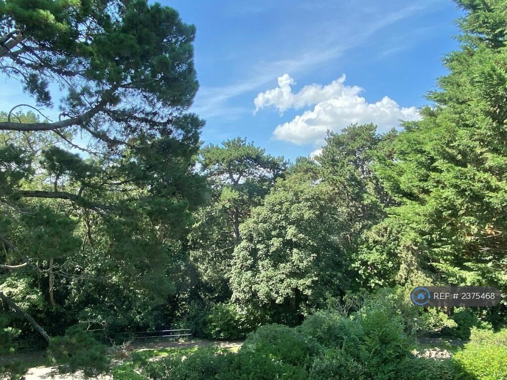 Surrounding Area