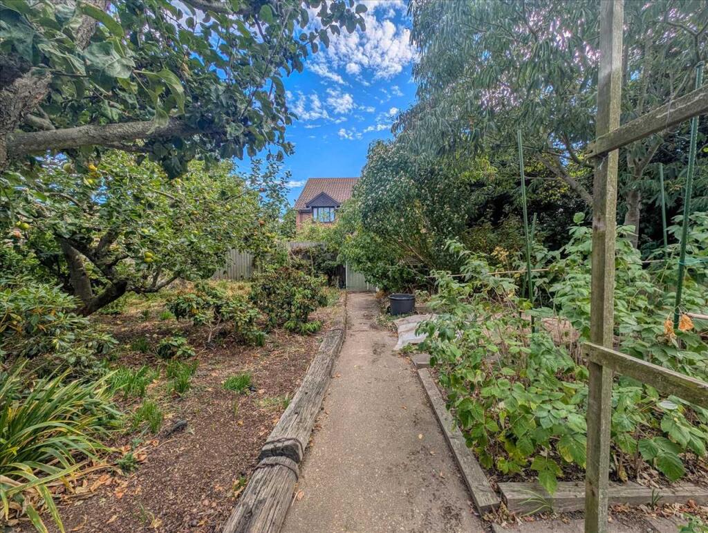 Wild Garden