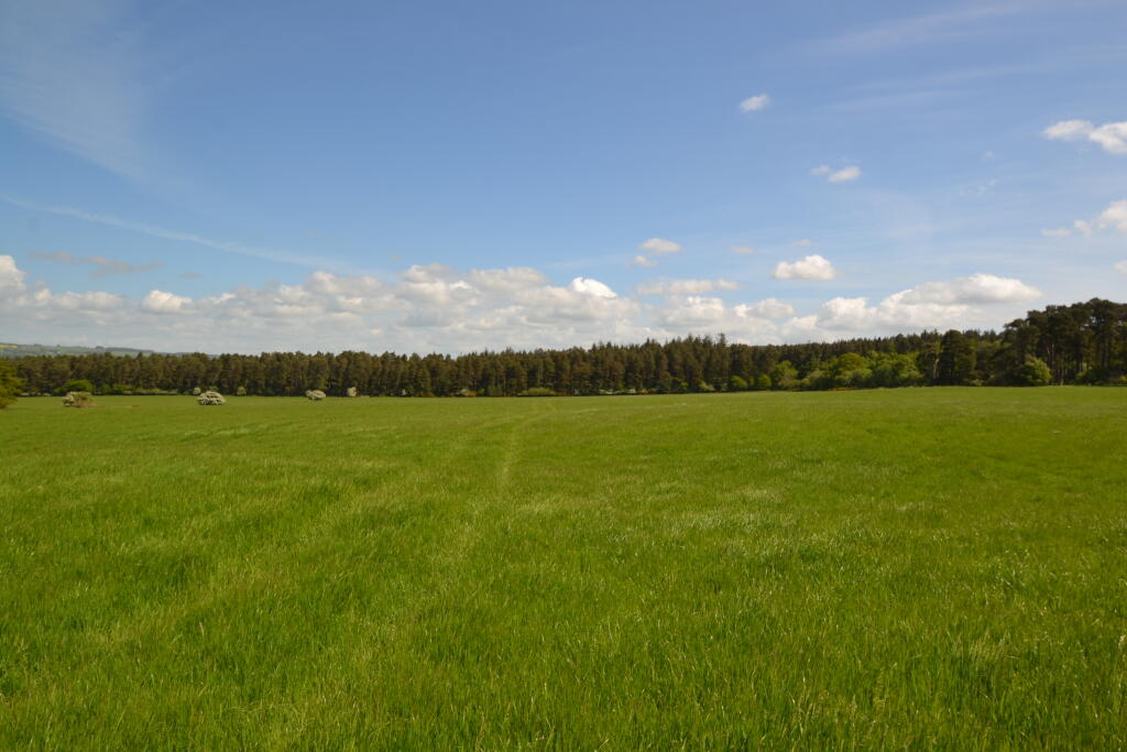 Lot 1