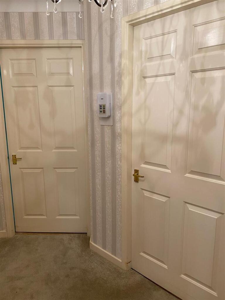 IMG-20250214-WA0018 (Large).jpg