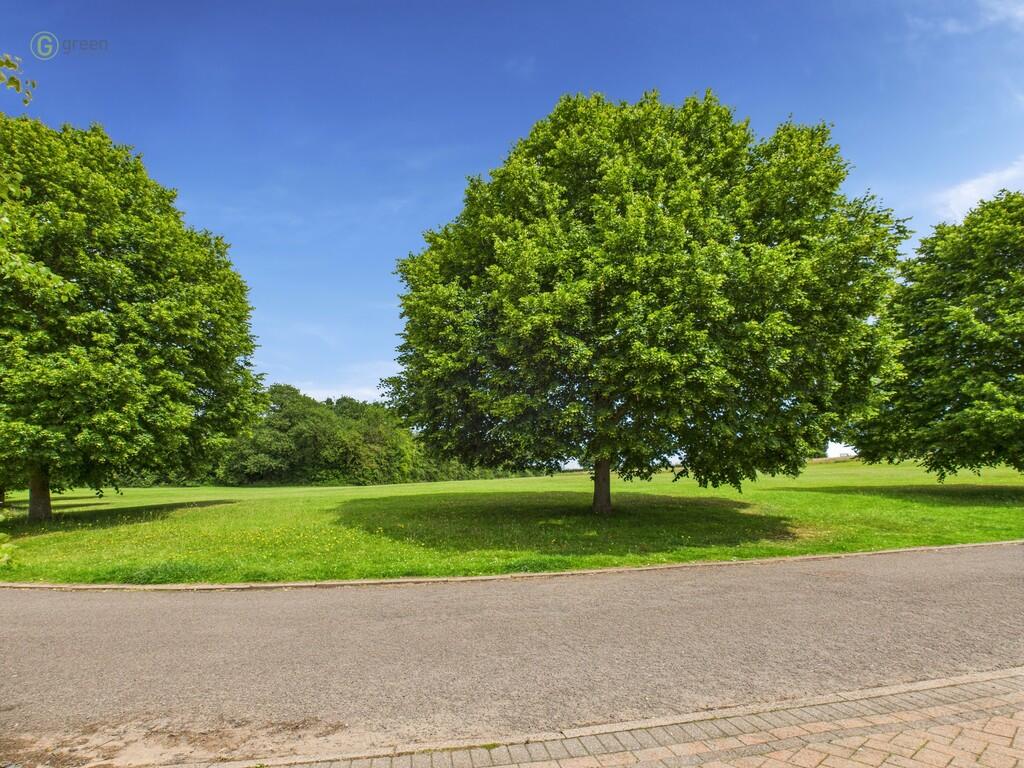 CAM03830G0-PR0171...