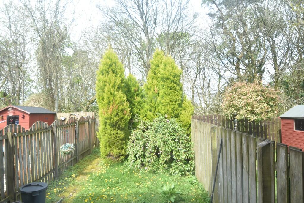 Back Garden