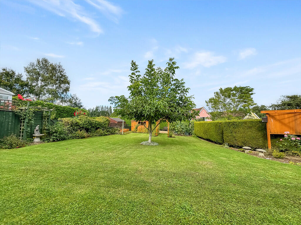 Rear garden 2