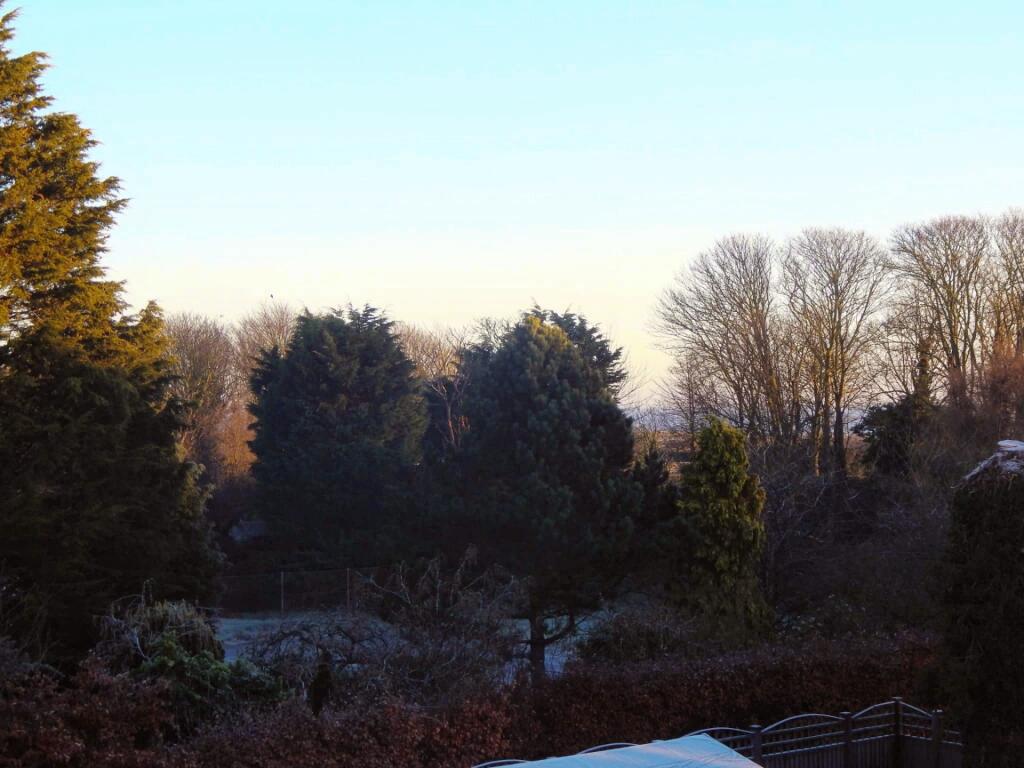 winter view from house