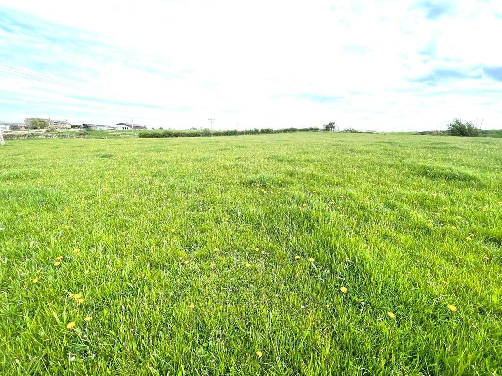 EXTERNAL