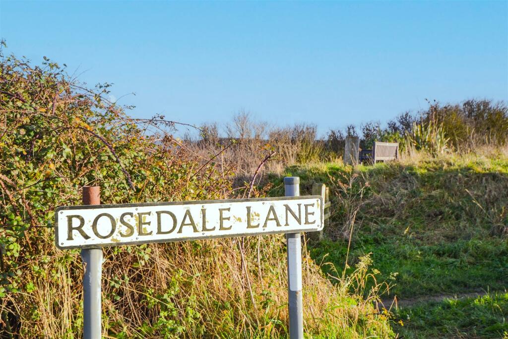DSC_0232.jpg