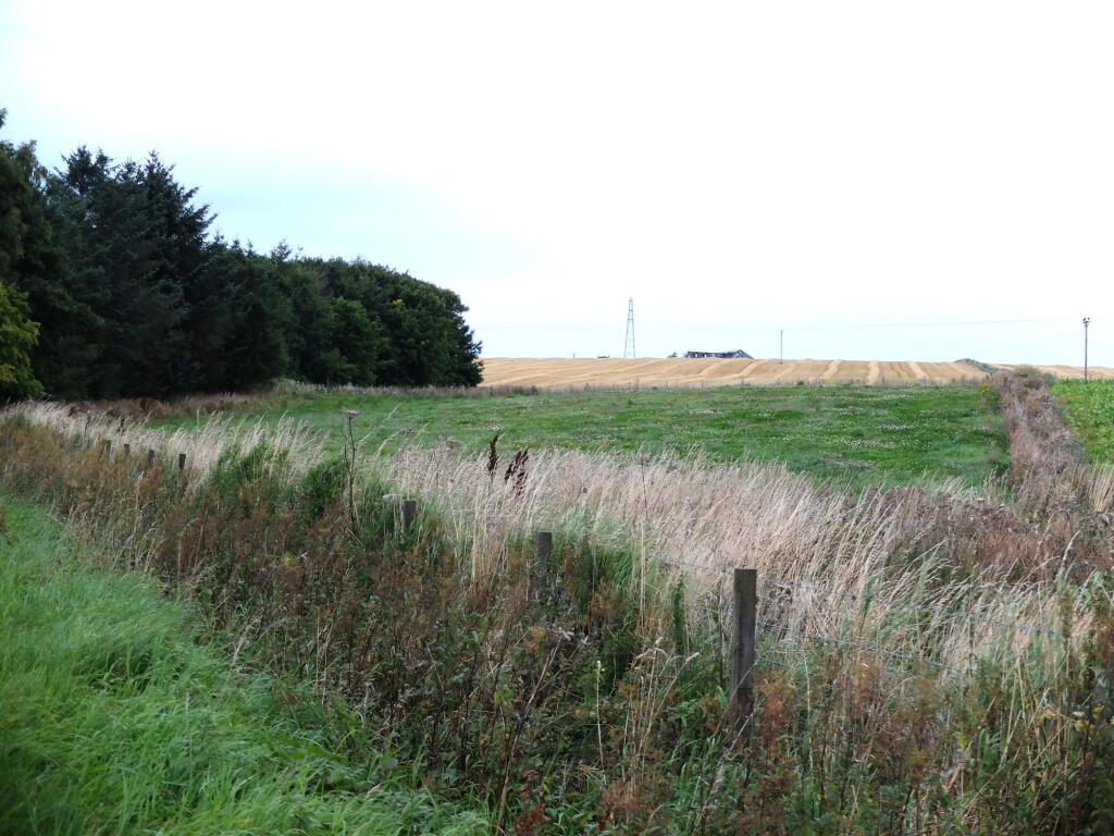 Plot 1