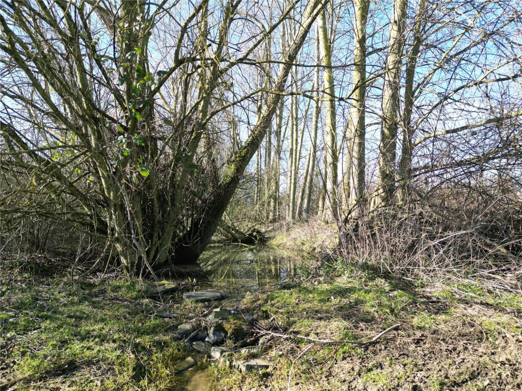 Picture 15