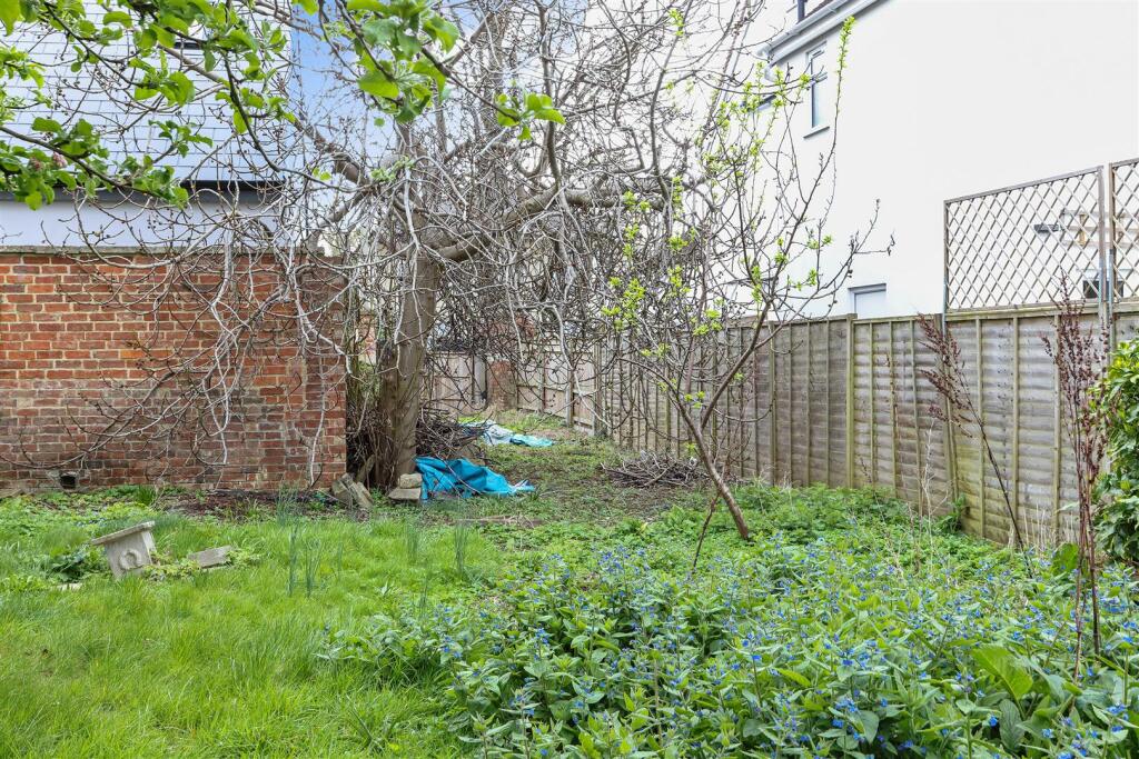 garden 2.jpg