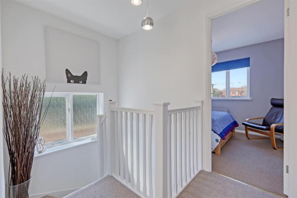 img_6264_1 copy 2.jpg