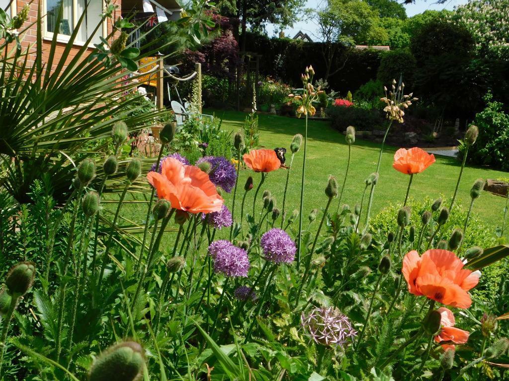 Heavenly, sunny garden