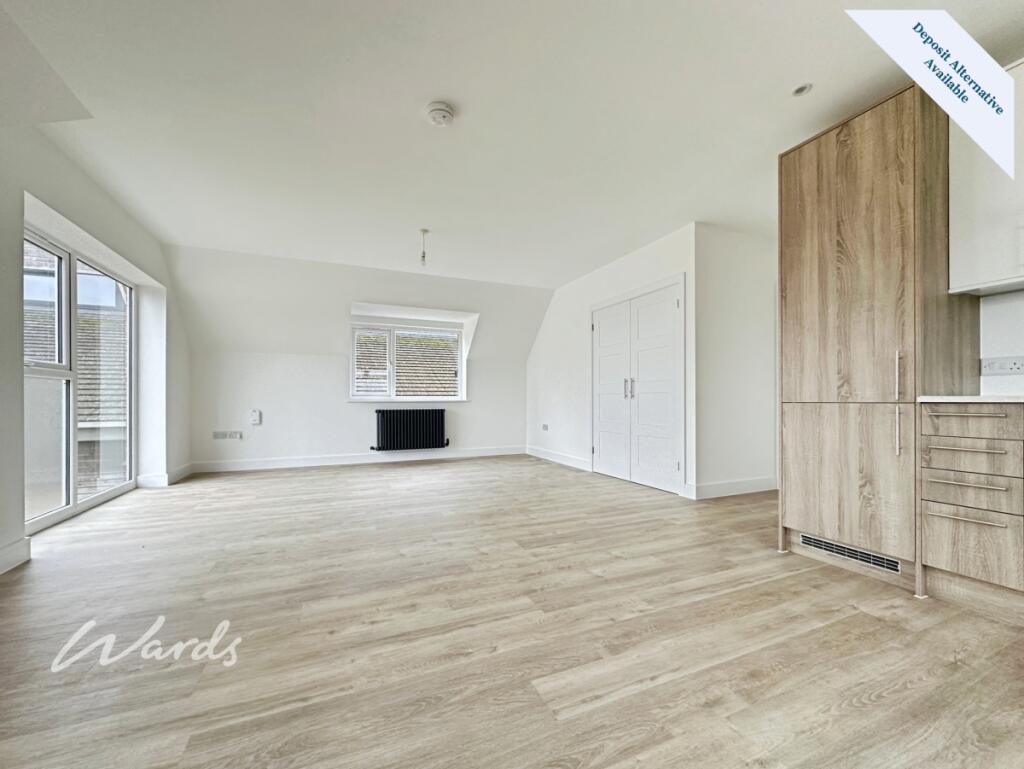 Living/Kitchen Area 