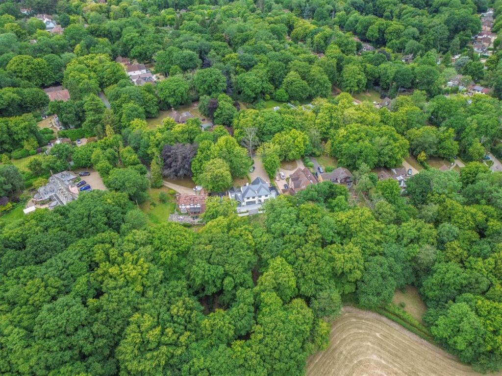 DJI_0442.jpg